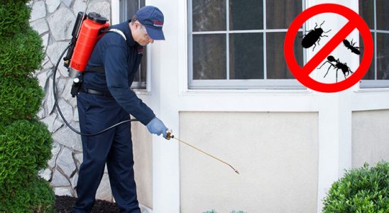 Kale Kene İlaçlama böcek ilaçlama ve haşere kontrolü — ilaclama-tr.com